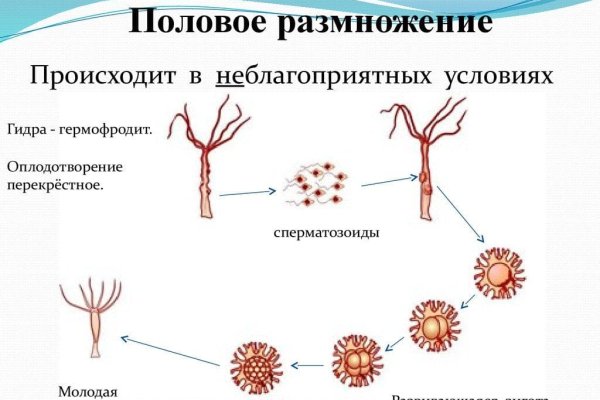Зайти на кракен рабочее зеркало