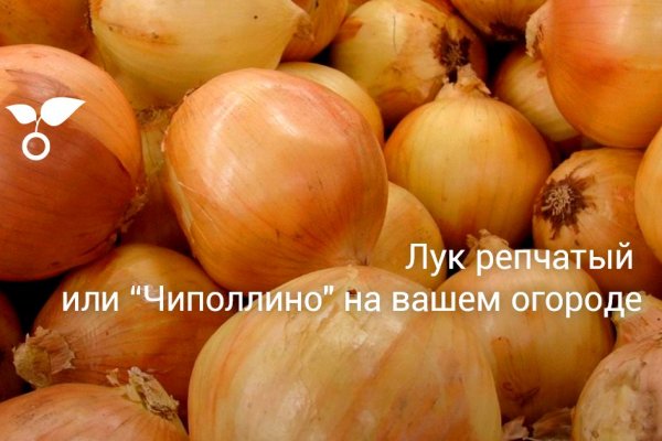Сайт кракен войти