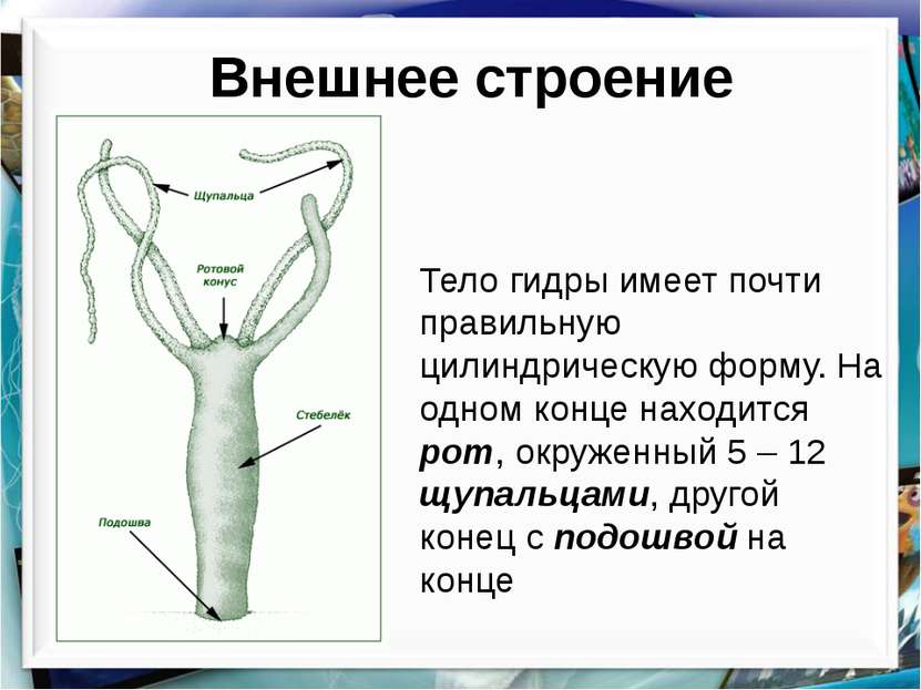 Кракен сайт наркотиков